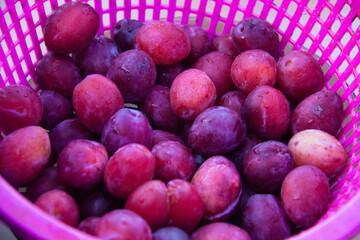 fresh purple plum on a plate