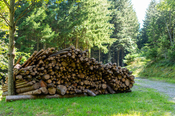 Stack of piled tree logs in a forest next to a road. Stacks of cut wood. Wood logs, timber logging