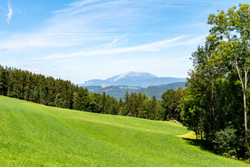 Beautiful view of idyllic alpine mountain scenery with meadows, trees and mountain peaks on a beautiful sunny day with blue sky in summer