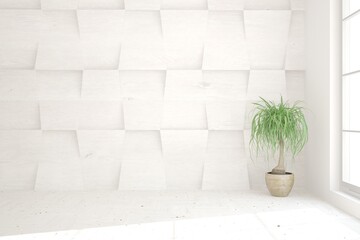 White minimalist empty room with greem plant. Scandinavian interior design. 3D illustration