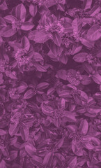 Duotone flowers on dark green, vertical template. Background for text and design.