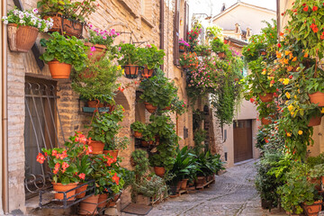 old house with flowers in pots. Spello, Italy