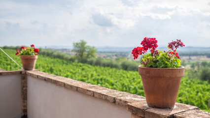flowers on a balcony. Perugia Italy 