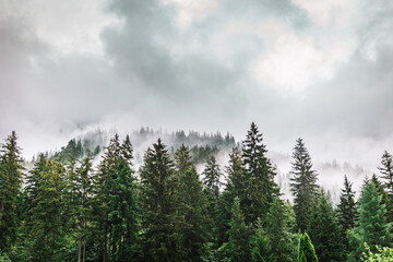Epische Stimmung mit Morgennebel am Hintersee im Berchtesgadener Land.