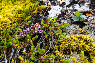 Impressionen von der Halbinsel Snaefellnes im Westen Islands