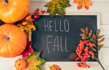 Hello fall. Pumpkins, berries and fallen leaves with chalk blackboard frame on wooden background....