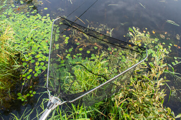 Fishing landing net with coarse nylon net on a forest lake