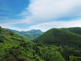 Fototapeta na wymiar The green mountain range over blue sky background.