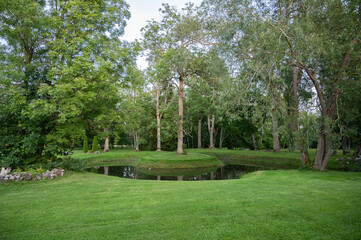 Fototapeta premium garden pond in summer