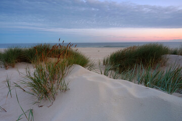 Wydmy na wybrzeżu Morza Bałtyckiego,plaża w Kołobrzegu,Polska.