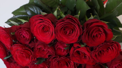bouquet of red roses on a light background