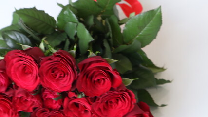 bouquet of red roses on a light background