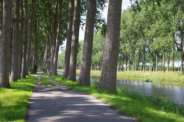 Obraz premium De Bruges à Damme