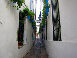 Fototapeta na wymiar Nice white and narrow street in Cordoba