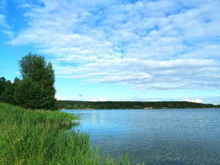 summer landscape with lake in the forest