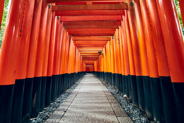 Fototapeta premium Fushimi Inari
