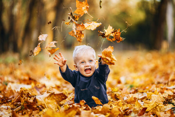 Little cute baby boy have fun outdoors in the park in autumn time. - Powered by Adobe