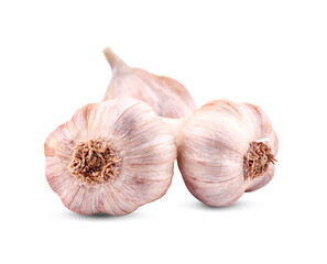 garlic isolated on whtie background