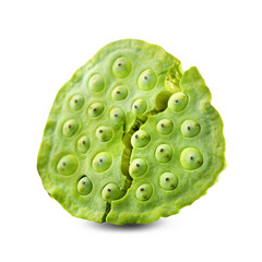lotus seeds isolated on white background