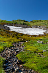北海道　黒岳山頂周辺の夏の風景
