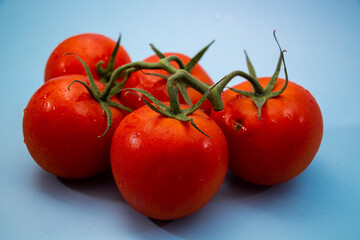 racimo de tomates rojos sobre fondo de color