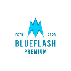 Obraz premium Flash Technology premium Vector Logo energy design modern