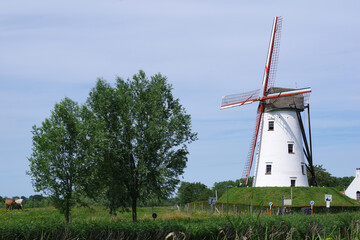 Moulins à vent à proximité de Damme