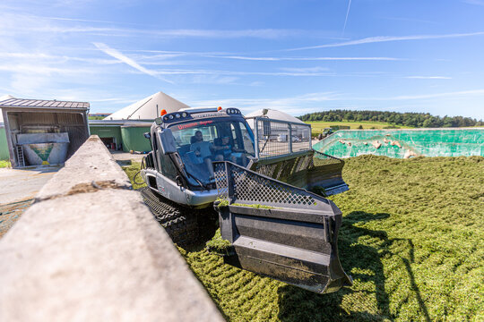 BAVARIA / GERMANY - AUGUST 20, 2020: Prinoth Leitwolf snowcat prepares the silage for the biogas plant