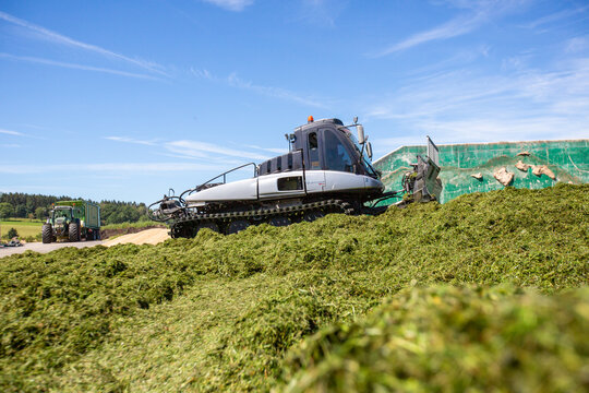 BAVARIA / GERMANY - AUGUST 20, 2020: Prinoth Leitwolf snowcat prepares the silage for the biogas plant
