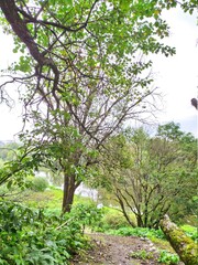 Nature in the autumn