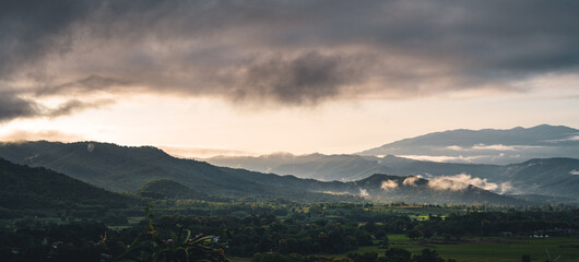 Mountains and green trees during the day