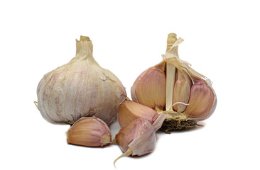 Close-up of a clove of garlic on a white background