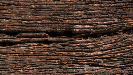 Close up of old wood texture, wooden vintage style, Decayed wood surface background.