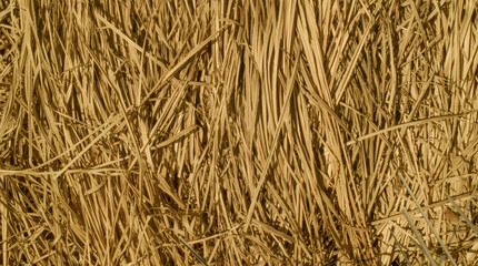 Pile of wilted grass, agriculture harvest concept, hay texture for background.