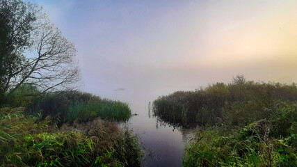 Beautiful sunrise on a foggy forest lake