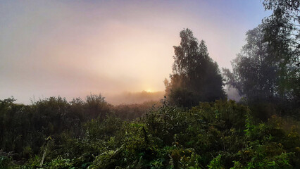 Fototapeta na wymiar Beautiful sunrise on a foggy forest lake