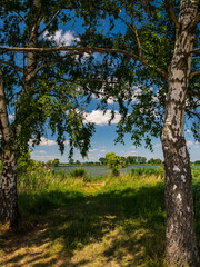 Landschaft am Hörnauer See bei Gerolzhofen, Landkreis Schweinfurt, Unterfranken, Franken, Bayern, Deutschland