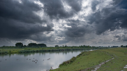 Biesbosch 5