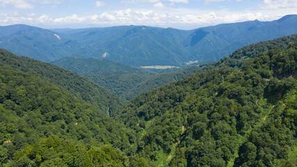 Fototapeta premium 白山スーパー林道