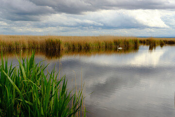Landschaft am Neusiedler See bei Illmitz im Nationalpark Neusiedler See, Burgenland, Österreich