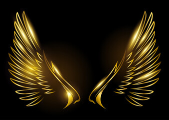 Golden wings on black background