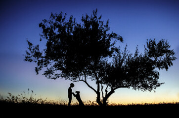 border collie dog and owner love story lovely portrait walk the dog at sunset beautiful nature happy pet
