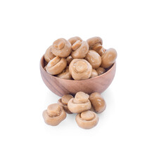 champignon mushroom on white background