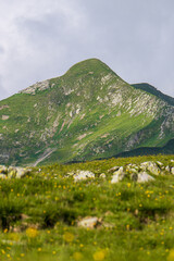 Obraz premium The meadows, the views and the peaks of the orobie alps during a summer afternoon, near the San Marco pass, Lombardy, Italy - June 2020