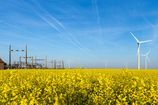 Green power  and renewable energy - wind turbine generators and electrical substation in the yellow rapeseed field under the blue sky