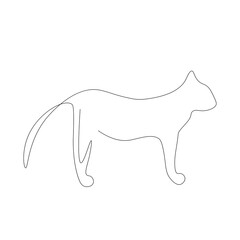 Cat animal on white background silhouette. Vector illustration