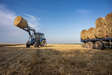 Agriculture straw wagon in field