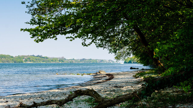Kolding Fjord close to the city of Kolding. This small beach lies in a nearby forest.