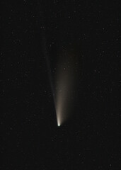 Comet Neowise with black background, vertical