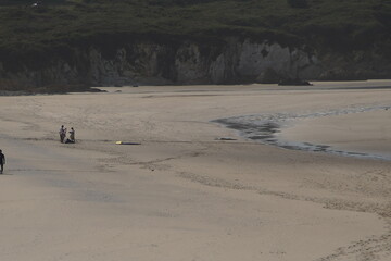 Surf in Pantin, beautiful beach of Galicia,Spain